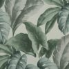 TAPETA W LIŚCIE DUŻE LIŚCIE MONSTERA ZIELONE
