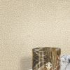 ROBERTO CAVALLI HOME N. 8 19021